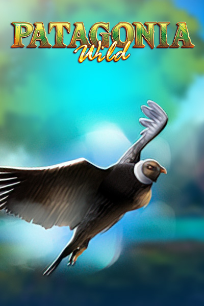 Patagonia Wilds