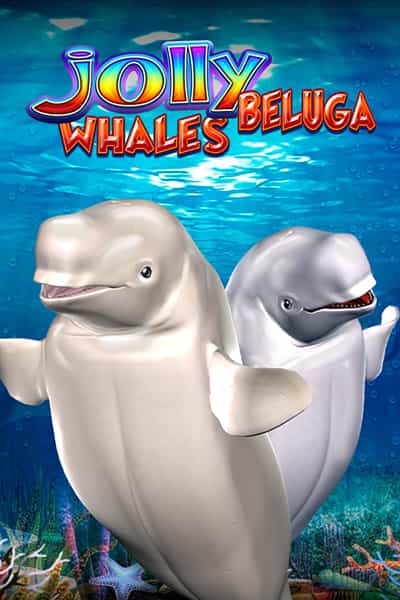 Jolly Beluga Whales